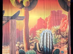 A printed cloth of a desert sunset scene